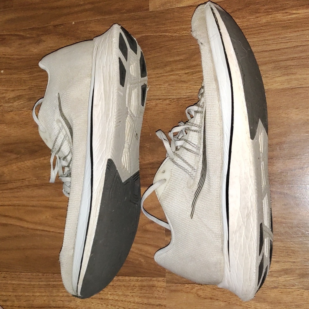 Nike Zoom Fly Pegasus (men's)
